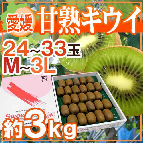 愛媛県 ”甘熟キウイ” 秀品 24〜33玉前後 約3kg【予約 12月末以降】 送料無料の通販は 5,222円