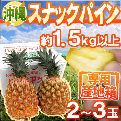 沖縄産 ”スナックパイン” 2〜3玉 約1.5kg以上 専用産地箱 パイナップル