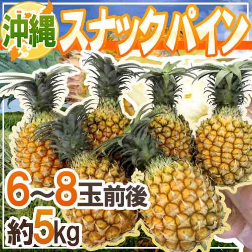 沖縄産 ”スナックパイン” 6〜8玉前後 約5kg 送料無料 - パイナップル