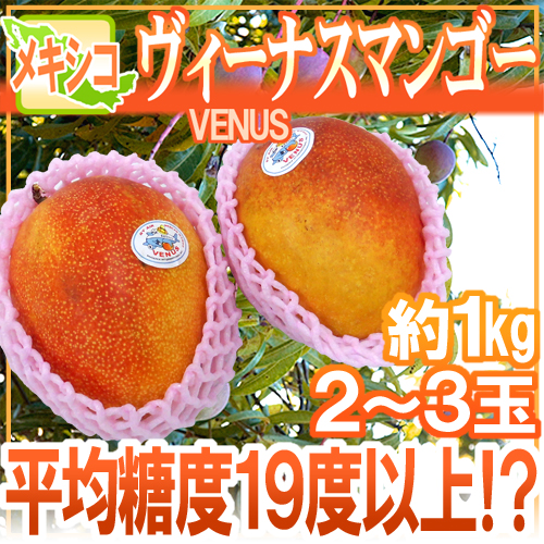 メキシコ産 ヴィーナスマンゴー 大玉2 3玉 約1kg 航空便 ビーナスマンゴー 予約 4月以降 送料無料の通販はau Pay マーケット くらし快援隊