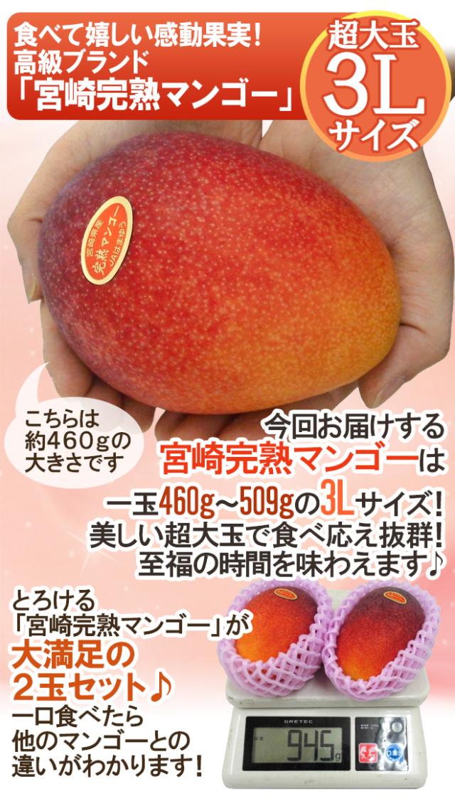 色ムラ 】 宮崎 完熟 マンゴー 12玉 約 3k 色ムラ 】 宮崎 完熟