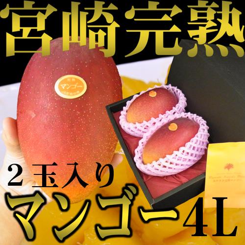 宮崎完熟マンゴー” 秀品 4Lサイズ 2玉入り 化粧箱 宮崎マンゴー【予約