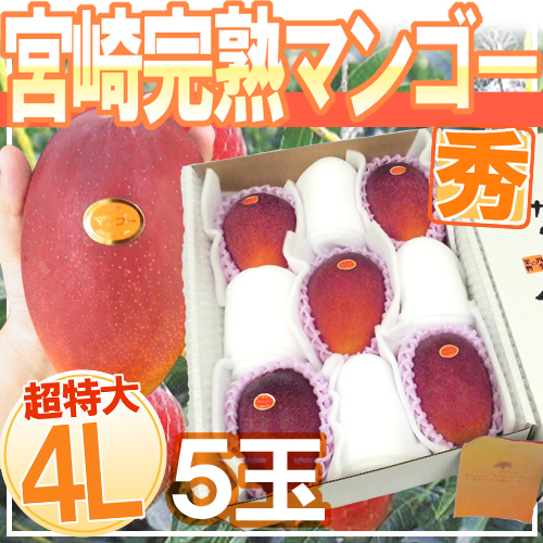 ”宮崎完熟マンゴー” 秀品 4Lサイズ 5玉入り 化粧箱 宮崎マンゴー【予約 4月以降】 送料無料の通販は