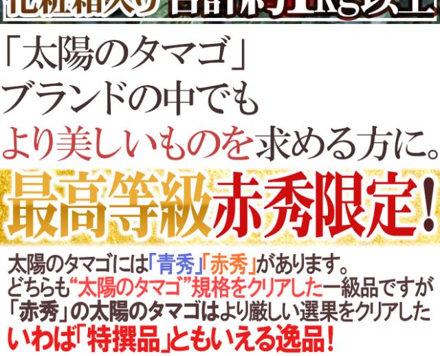 宮崎完熟マンゴー ”太陽のタマゴ” 超特大4L 2玉入り 最高等級 赤秀限定【予約 4月以降】 送料無料_1