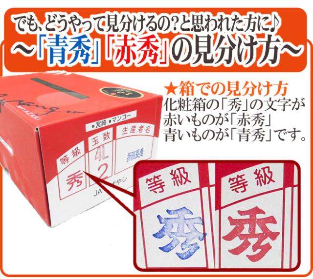 宮崎完熟マンゴー ”太陽のタマゴ” 超特大4L 2玉入り 最高等級 赤秀限定【予約 4月以降】 送料無料_3