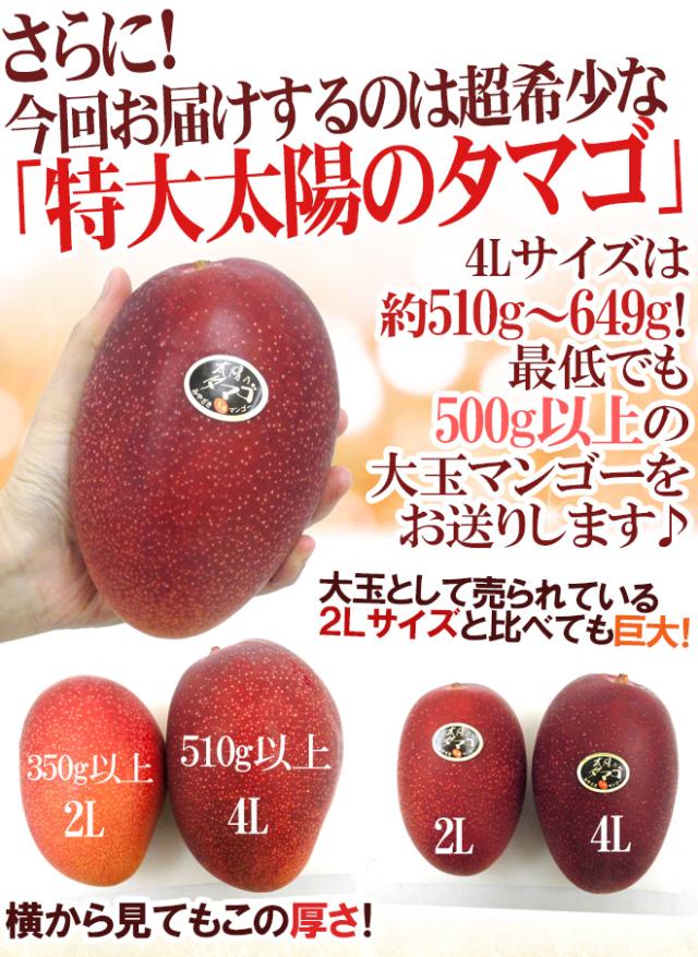 宮崎完熟マンゴー ”太陽のタマゴ” 超特大4L 2玉入り 最高等級 赤秀限定【予約 4月以降】 送料無料_4
