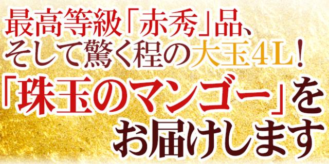 宮崎完熟マンゴー ”太陽のタマゴ” 超特大4L 2玉入り 最高等級 赤秀限定【予約 4月以降】 送料無料_5
