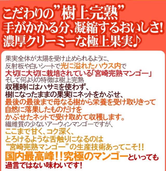 宮崎完熟マンゴー ”太陽のタマゴ” 超特大4L 2玉入り 最高等級 赤秀限定【予約 4月以降】 送料無料_7