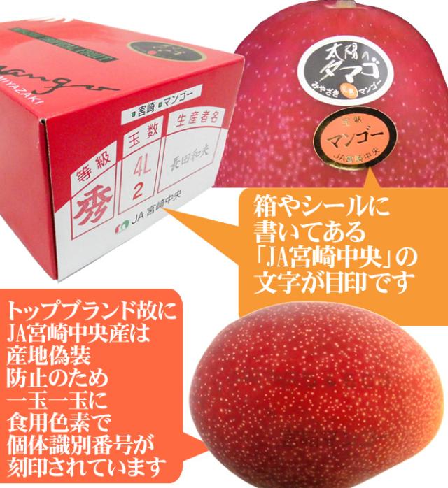 宮崎完熟マンゴー =太陽のタマゴ= JA宮崎中央 4L 2玉入 最高等級 赤秀