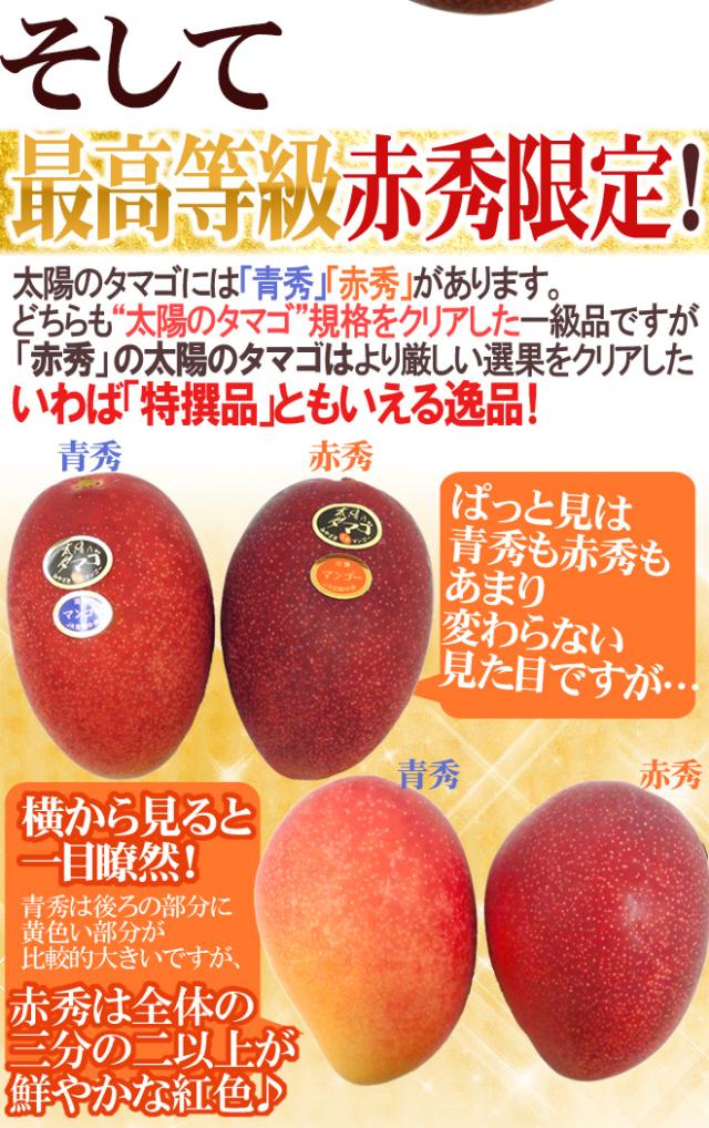 宮崎完熟マンゴー ”太陽のタマゴ” JA宮崎中央 超特大4L 2玉入 最高等級 赤秀限定【予約 4月以降】 送料無料_2