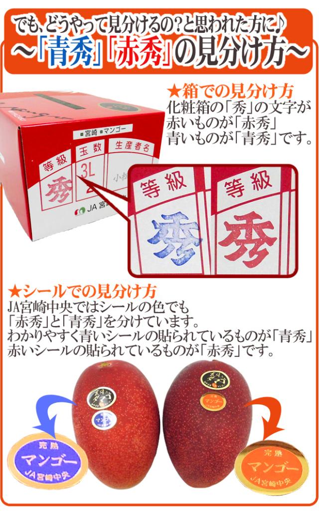 宮崎完熟マンゴー ”太陽のタマゴ” JA宮崎中央 超特大4L 2玉入 最高等級 赤秀限定【予約 4月以降】 送料無料_3