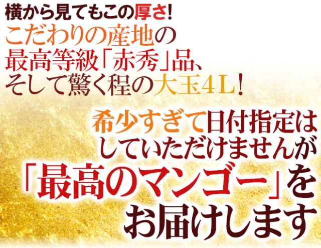 宮崎完熟マンゴー ”太陽のタマゴ” JA宮崎中央 超特大4L 2玉入 最高等級 赤秀限定【予約 4月以降】 送料無料_5