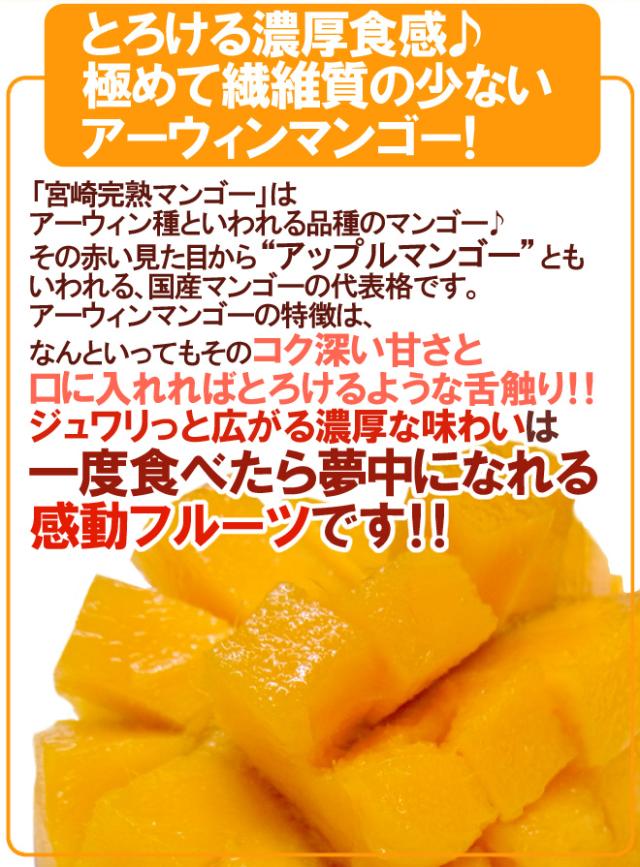 宮崎完熟マンゴー ”太陽のタマゴ” JA宮崎中央 超特大4L 2玉入 最高等級 赤秀限定【予約 4月以降】 送料無料_6