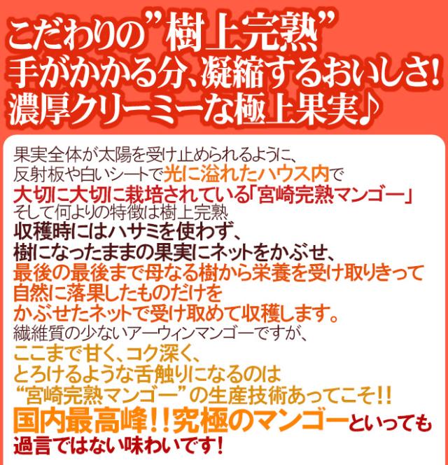 宮崎完熟マンゴー ”太陽のタマゴ” JA宮崎中央 超特大4L 2玉入 最高等級 赤秀限定【予約 4月以降】 送料無料_7