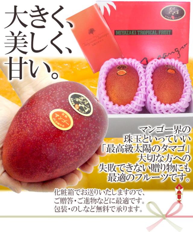 宮崎完熟マンゴー =太陽のタマゴ= JA宮崎中央 4L 2玉入 最高等級 赤秀