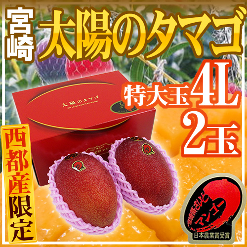 味源 ロースト殻付きマカダミアナッツ 300g 5個組 送料無料 新登場