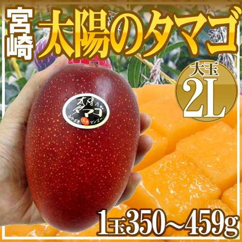 宮崎完熟マンゴー ”太陽のタマゴ” 大玉 2Lサイズ 1玉 宮崎マンゴー