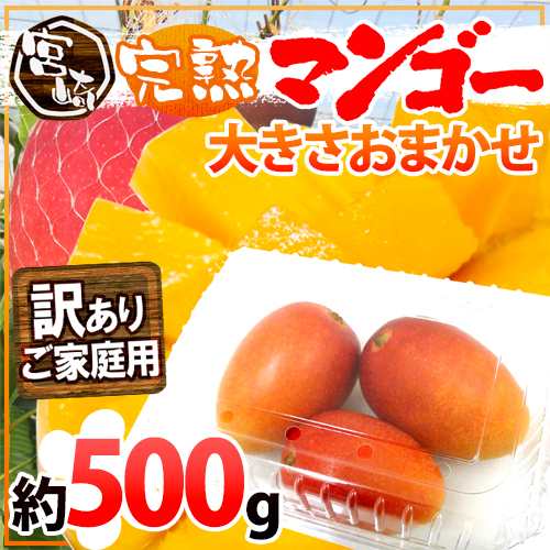 宮崎完熟マンゴー ちょっと訳あり 約500g前後 大きさおまかせ 宮崎マンゴー 予約 3月下旬以降 の通販はau Pay マーケット くらし快援隊