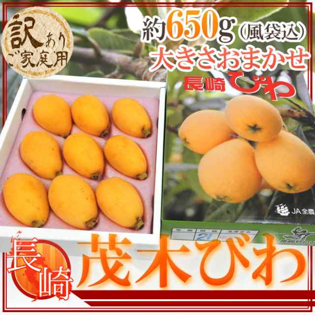長崎県 ”茂木びわ” 訳あり 約650g 大きさおまかせ 化粧箱【予約 3月下旬以降】 送料無料の通販はau PAY マーケット くらし快援隊 au PAY マーケット-通販サイト おばあちゃんの佐賀の茂木 びわ 訳あり Sサイズ