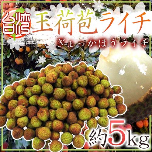 生グリーンライチ 玉荷苞（ぎょっかほう）” 約5kg 台湾産 レイシ
