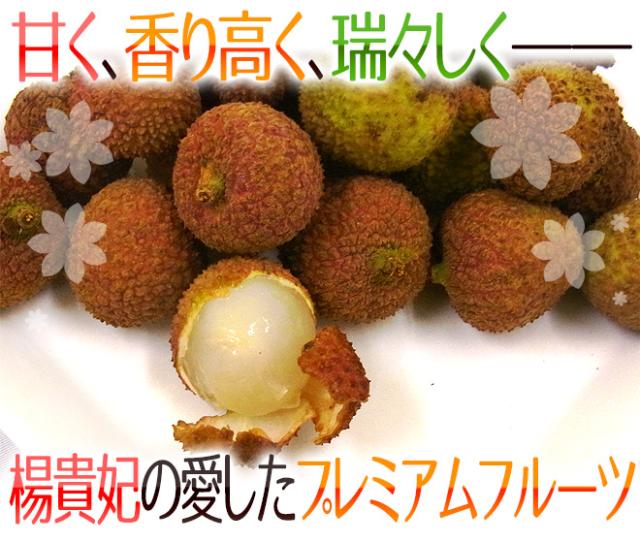 生グリーンライチ 玉荷苞（ぎょっかほう）” 約5kg 台湾産 レイシ