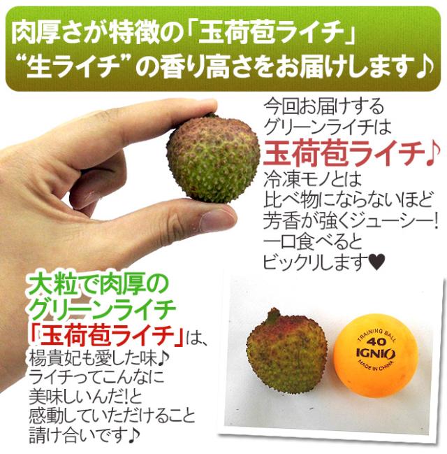 ”生グリーンライチ 玉荷苞（ぎょっかほう）” 約5kg 台湾産 レイシ 茘枝 玉荷包【予約 5月末以降】 送料無料_6