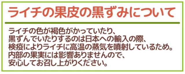 ”生グリーンライチ 玉荷苞（ぎょっかほう）” 約5kg 台湾産 レイシ 茘枝 玉荷包【予約 5月末以降】 送料無料_7