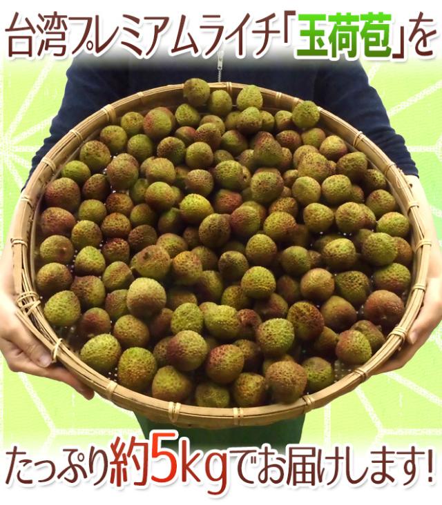 ”生グリーンライチ 玉荷苞（ぎょっかほう）” 約5kg 台湾産 レイシ 茘枝 玉荷包【予約 5月末以降】 送料無料_8