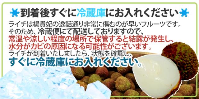 ”生グリーンライチ 玉荷苞（ぎょっかほう）” 約5kg 台湾産 レイシ 茘枝 玉荷包【予約 5月末以降】 送料無料_9