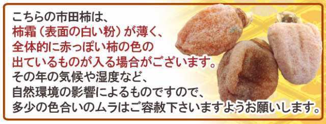 長野・南信州産 ”市田柿” L〜3L 約4kg【予約 12月中旬以降】 送料無料