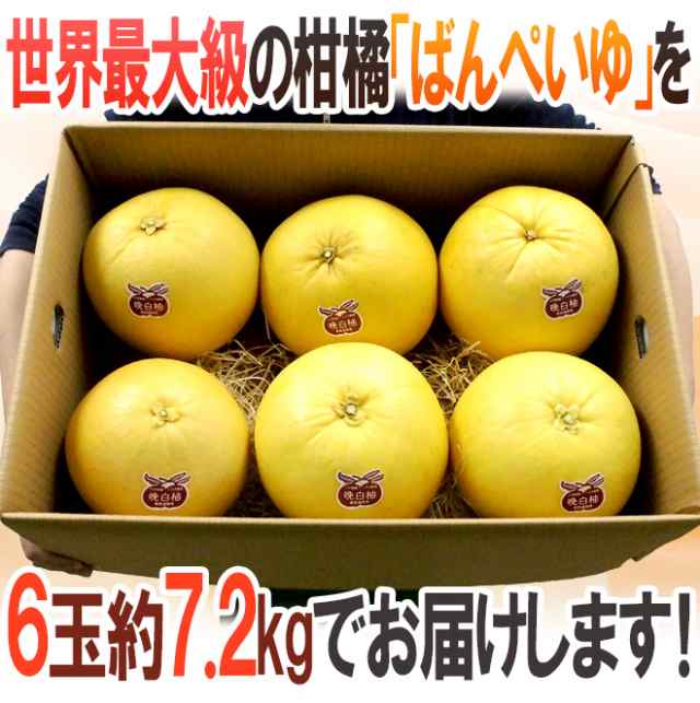 熊本県八代特産 ”晩白柚” ばんぺいゆ ちょっと訳あり Mサイズ 6玉 約