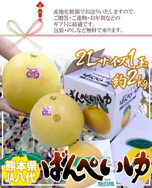 2Lサイズ　12月以降】　化粧箱入り【予約　ばんぺいゆ　約2kg　秀品　1玉　”晩白柚”　くらし快援隊　マーケット－通販サイト　au　PAY　熊本県八代特産　マーケット　送料無料の通販はau　PAY