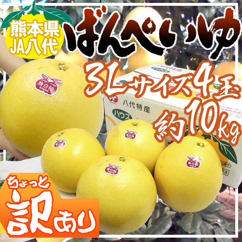 熊本県八代特産 ”晩白柚” ばんぺいゆ ちょっと訳あり 3L 超特大 4玉入り 約10kg【予約 12月下旬以降】 送料無料
