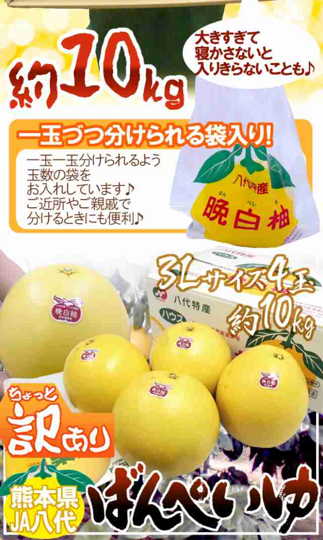 熊本県八代特産 ”晩白柚” ばんぺいゆ 秀品 超特大3Lサイズ 約2.5kg