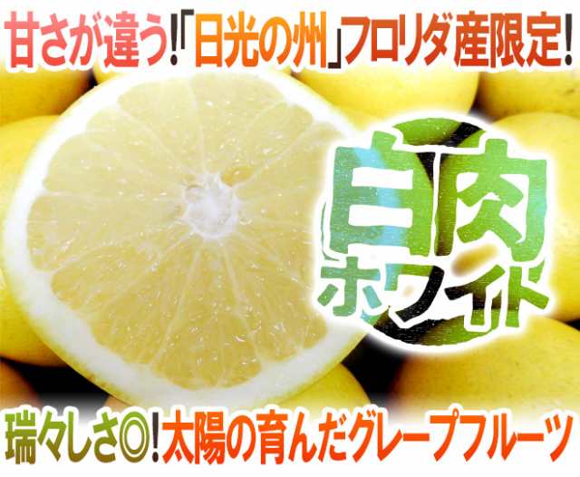 送料無料 フロリダ産 グレープフルーツ ホワイト 11 14玉前後 約5kg 予約 11月中旬以降 の通販はau Pay マーケット くらし快援隊