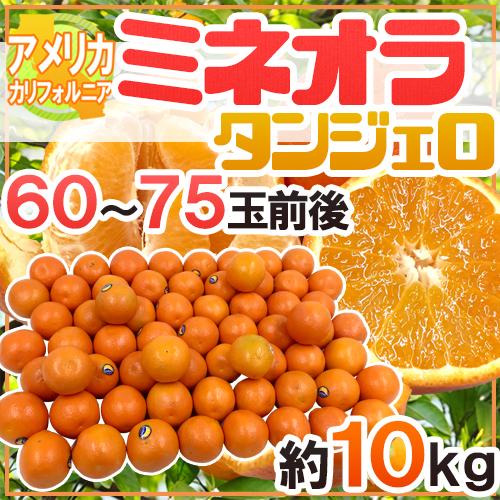 ”ミネオラオレンジ” 60〜75玉前後 約10kg カリフォルニア産 ミネオラタンジェロ【予約 3月以降】 送料無料