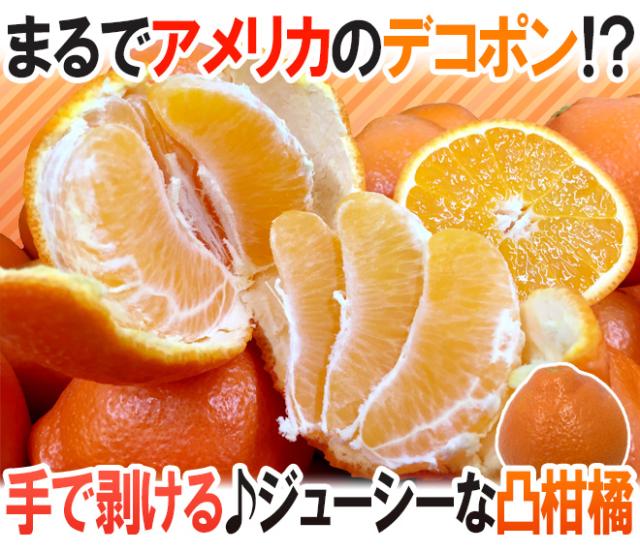 ”ミネオラオレンジ” 60〜75玉前後 約10kg カリフォルニア産 ミネオラタンジェロ【予約 3月以降】 送料無料