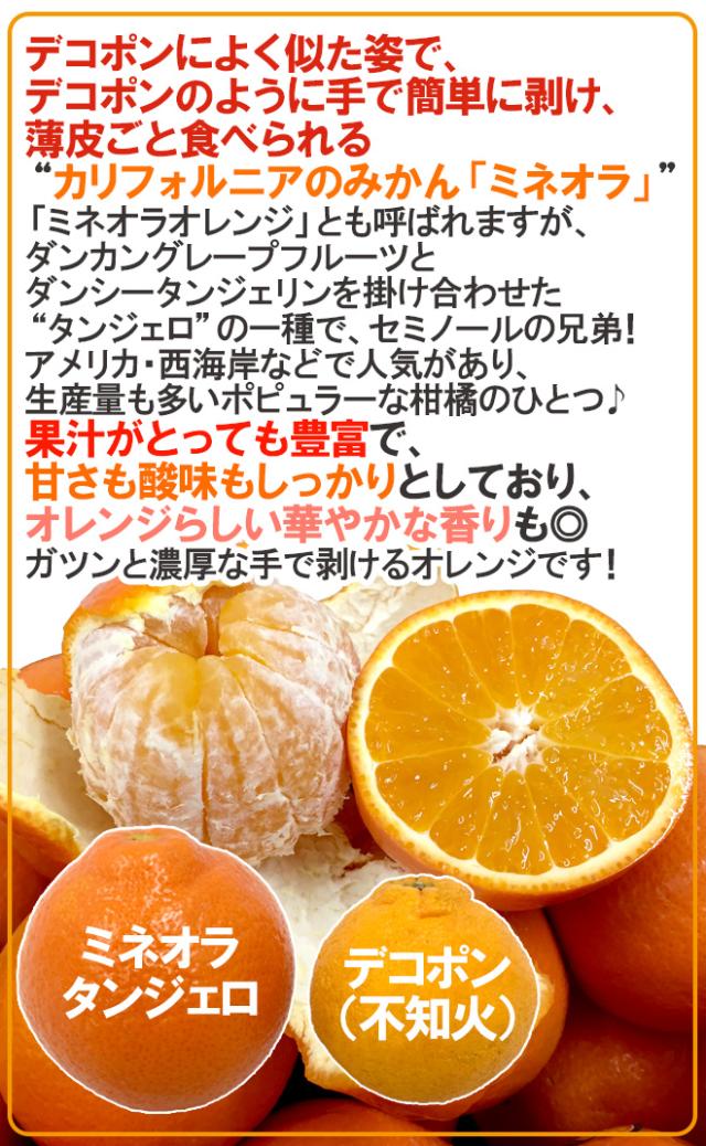 ”ミネオラオレンジ” 60〜75玉前後 約10kg カリフォルニア産 ミネオラタンジェロ【予約 3月以降】 送料無料