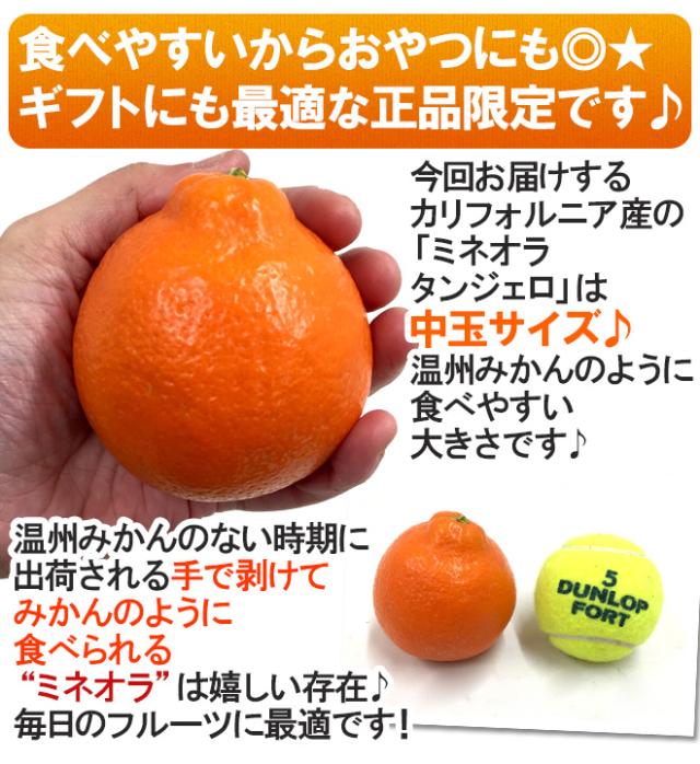 ”ミネオラオレンジ” 60〜75玉前後 約10kg カリフォルニア産 ミネオラタンジェロ【予約 3月以降】 送料無料
