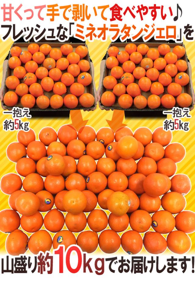 ”ミネオラオレンジ” 60〜75玉前後 約10kg カリフォルニア産 ミネオラタンジェロ【予約 3月以降】 送料無料