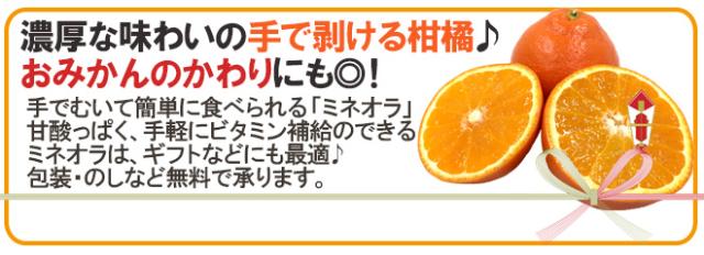 ”ミネオラオレンジ” 60〜75玉前後 約10kg カリフォルニア産 ミネオラタンジェロ【予約 3月以降】 送料無料