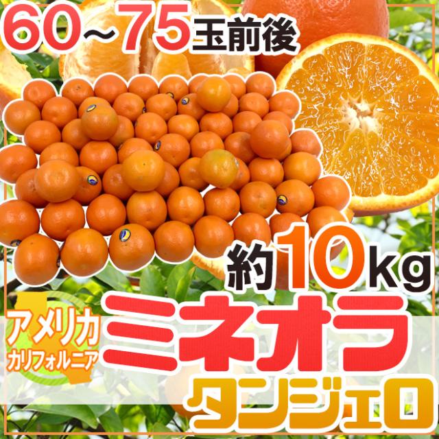 ”ミネオラオレンジ” 60〜75玉前後 約10kg カリフォルニア産 ミネオラタンジェロ【予約 3月以降】 送料無料