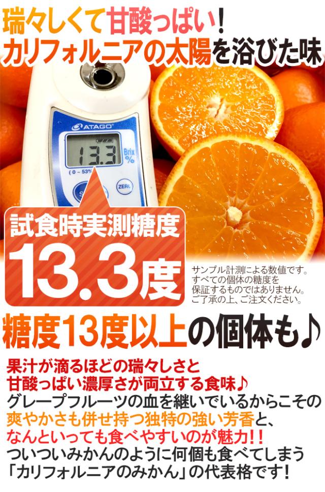 ”ミネオラオレンジ” 125玉前後 約17kg カリフォルニア産 ミネオラタンジェロ【予約 3月以降】 送料無料