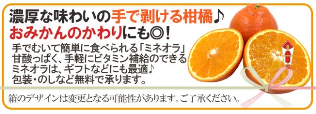 ”ミネオラオレンジ” 125玉前後 約17kg カリフォルニア産 ミネオラタンジェロ【予約 3月以降】 送料無料