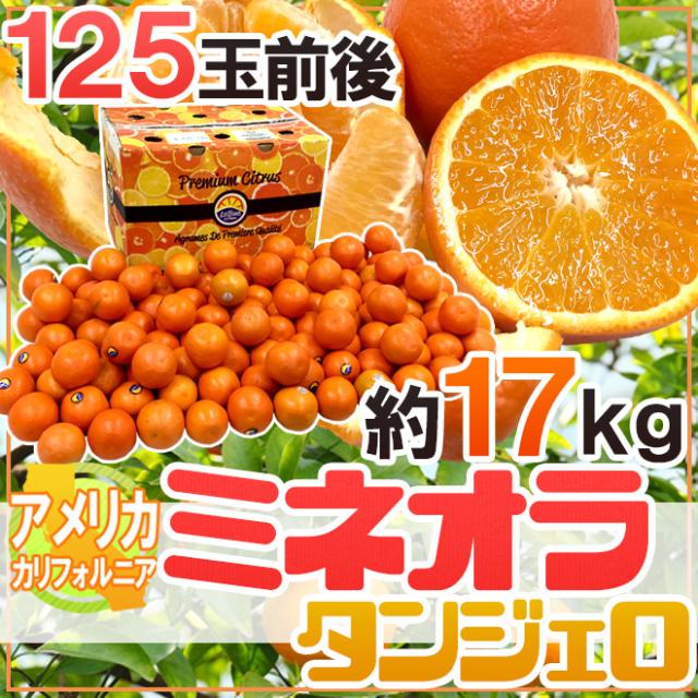 ”ミネオラオレンジ” 125玉前後 約17kg カリフォルニア産 ミネオラタンジェロ【予約 3月以降】 送料無料