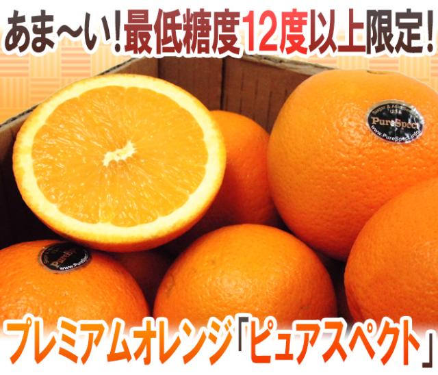 カリフォルニア産 プレミアムオレンジ ”ピュアスペクトネーブルオレンジ” 40〜70玉前後 約10kg【予約 1月下旬以降】 送料無料