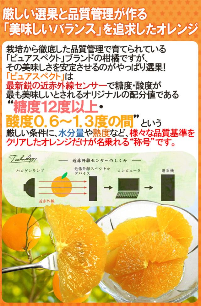 カリフォルニア産 プレミアムオレンジ ”ピュアスペクトネーブルオレンジ” 40〜70玉前後 約10kg【予約 1月下旬以降】 送料無料