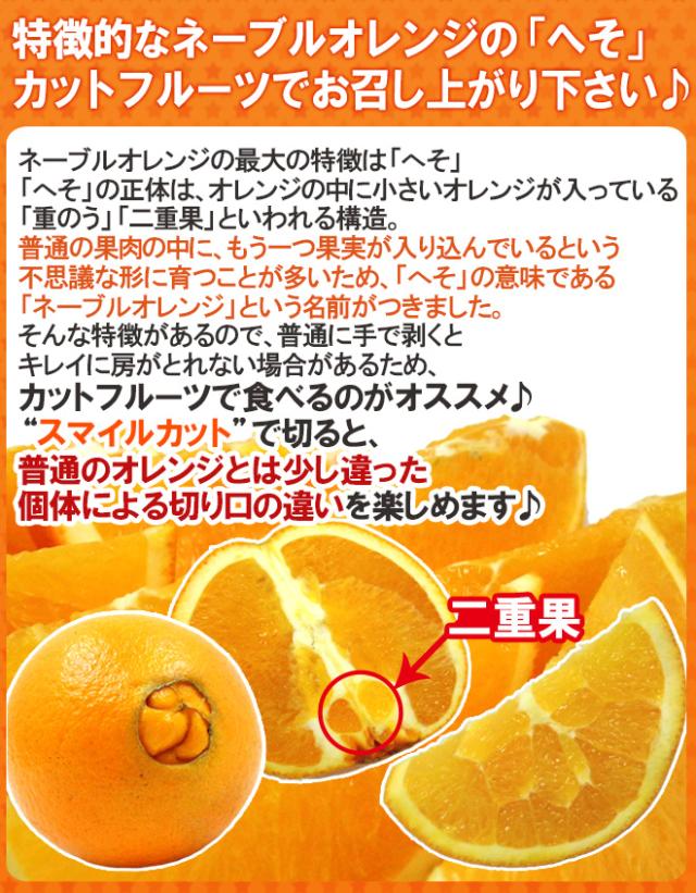 カリフォルニア産 プレミアムオレンジ ”ピュアスペクトネーブルオレンジ” 40〜70玉前後 約10kg【予約 1月下旬以降】 送料無料
