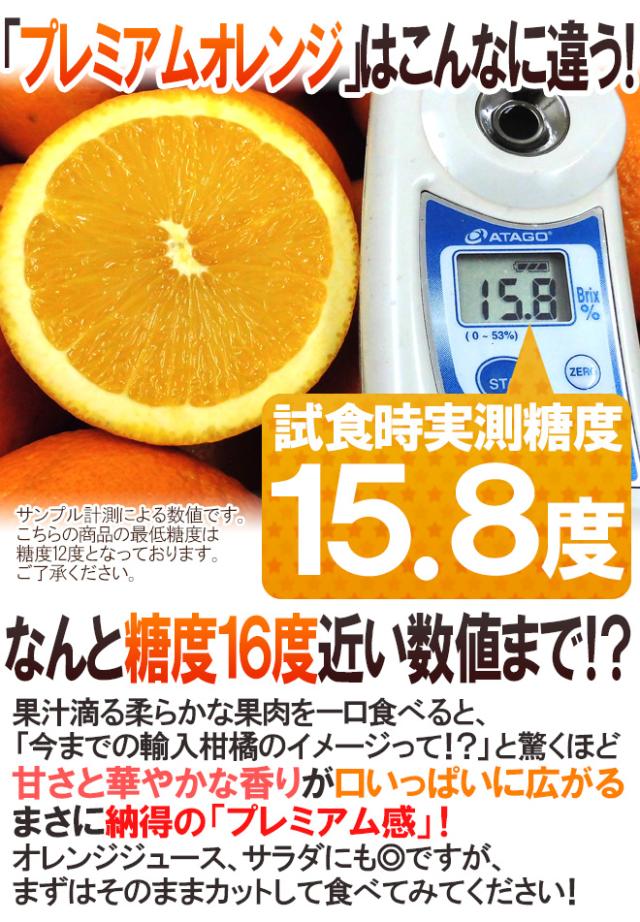 カリフォルニア産 プレミアムオレンジ ”ピュアスペクトネーブルオレンジ” 40〜70玉前後 約10kg【予約 1月下旬以降】 送料無料
