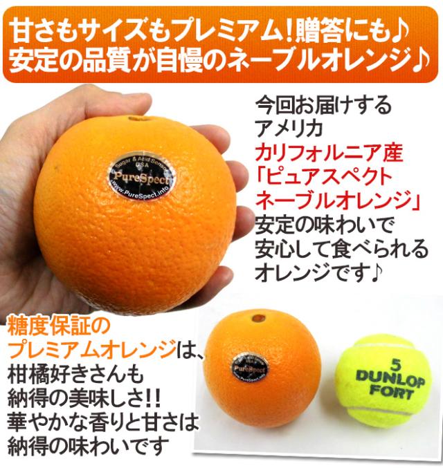 カリフォルニア産 プレミアムオレンジ ”ピュアスペクトネーブルオレンジ” 40〜70玉前後 約10kg【予約 1月下旬以降】 送料無料